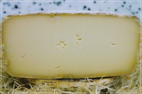 Pyrénées Brebis Ossau Iraty 50%