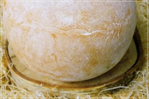 Mimolette Lait Cru César Losfeld